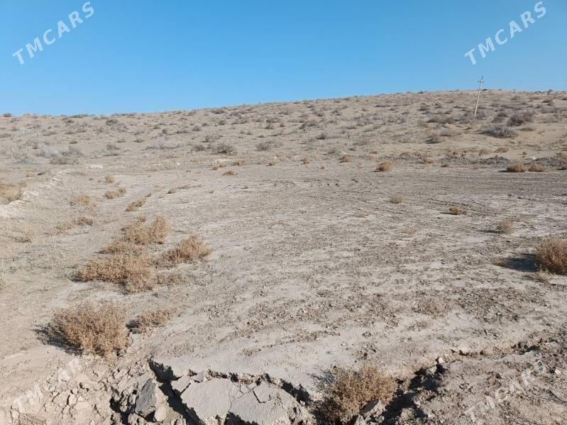 melek - Фарап - img 1