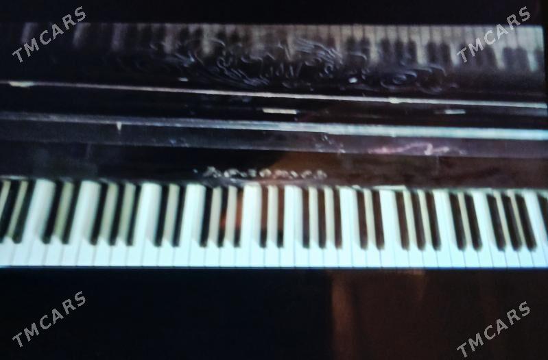 Belarus pianina - Дянев - img 1