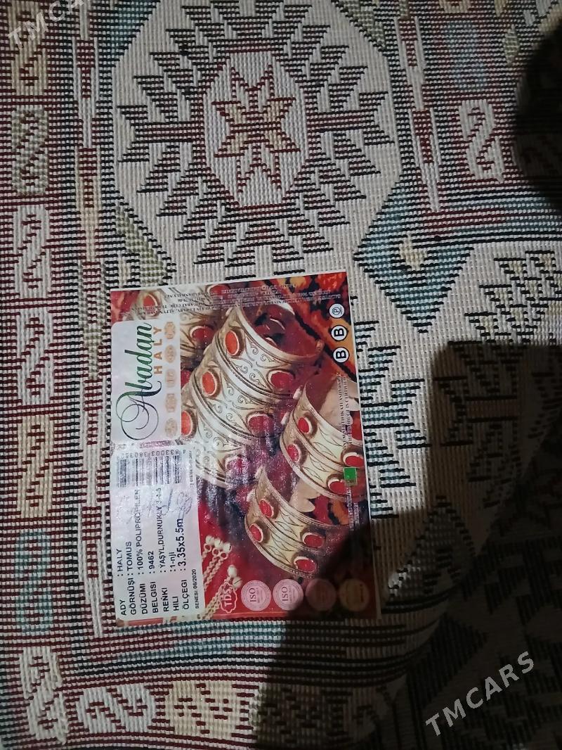 haly - Hitrowka - img 1