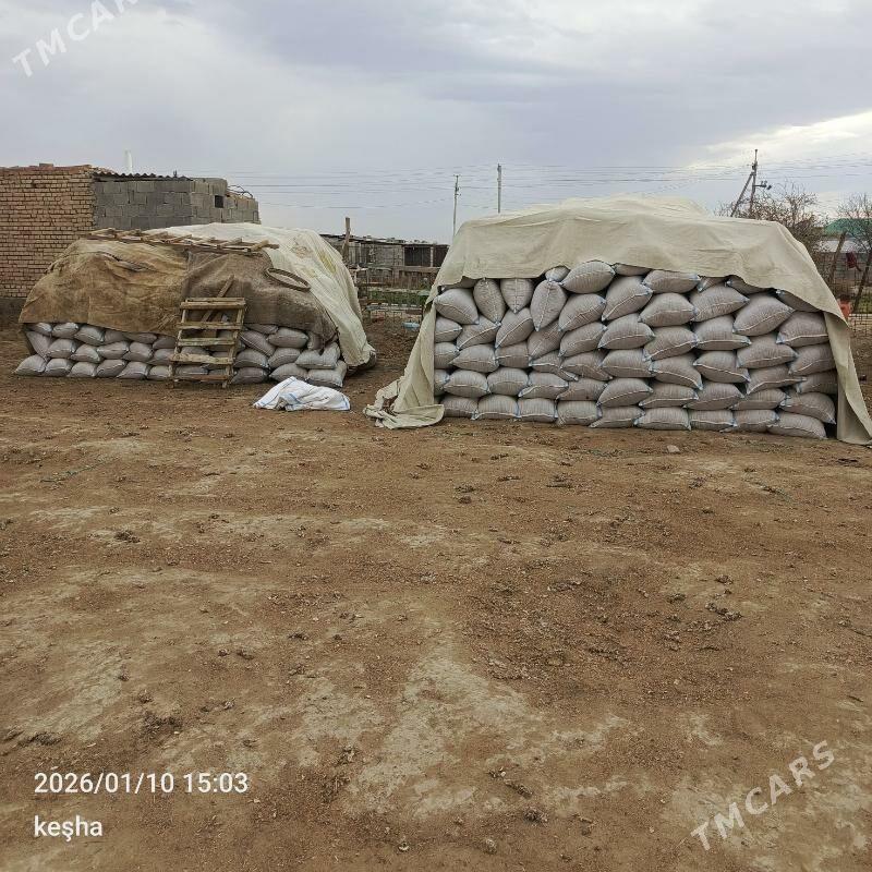 okuz - Бахарден - img 1