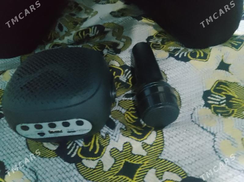 mikirofonly galnko - Garagum etraby - img 1