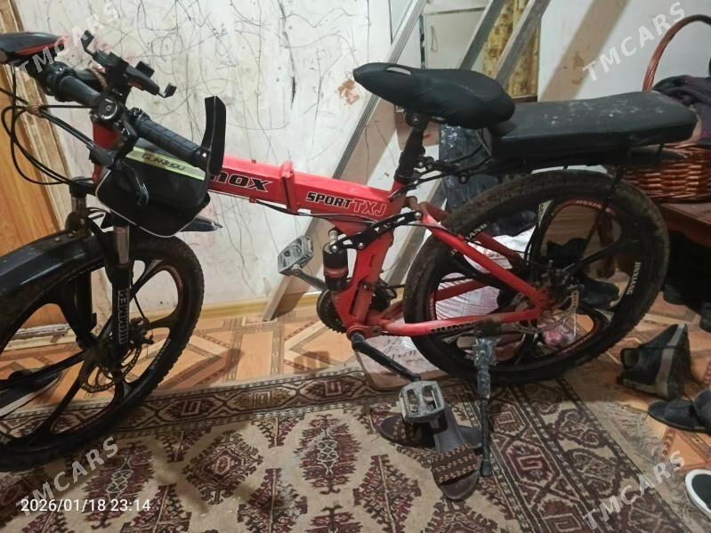 Welik 24 - Mary - img 1