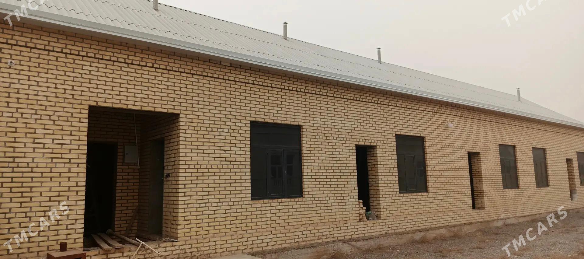 Satlyk Howly jaý - Мары - img 1