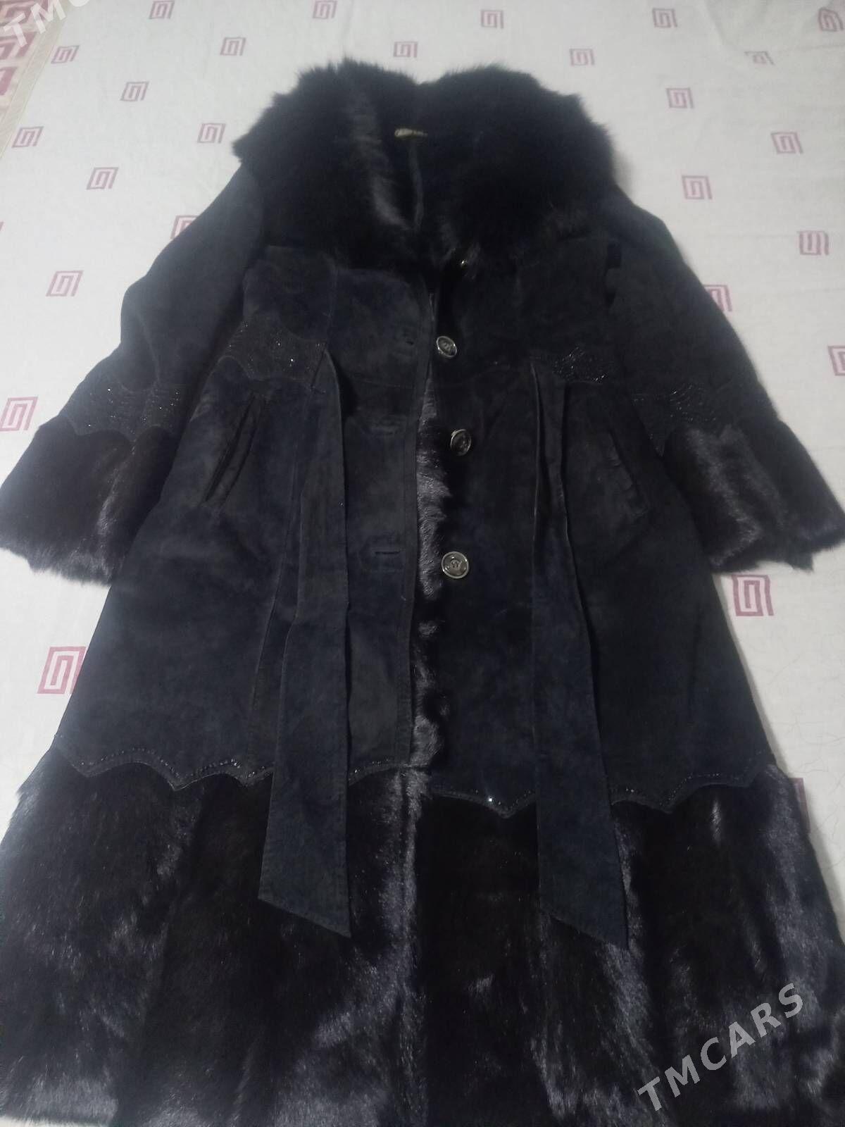 Palto - Багир - img 1