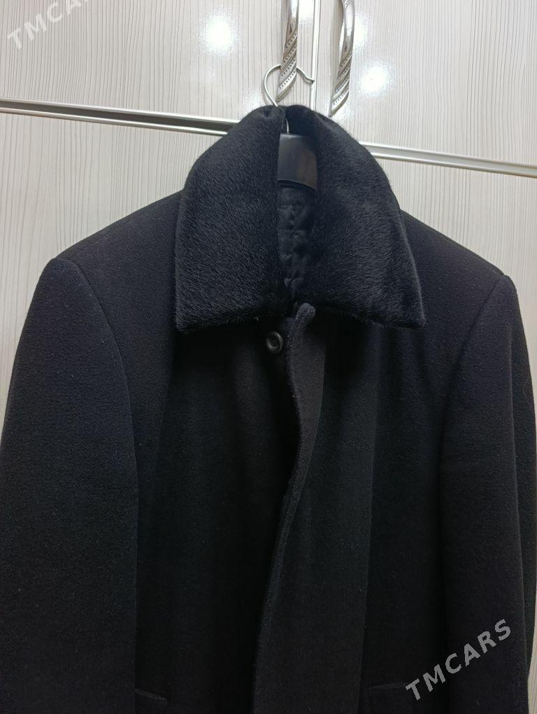 palto frenç - Ашхабад - img 1