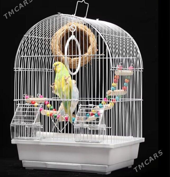 popugay setka komplekt gus - Ашхабад - img 1