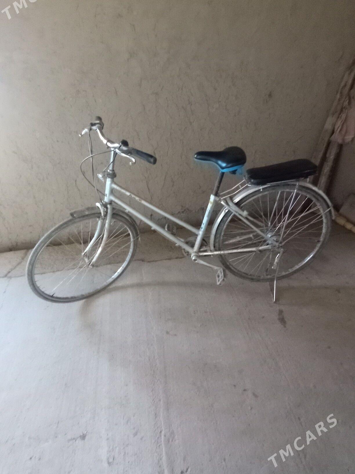 Welik Tigir - Гурбансолтан Едже - img 1