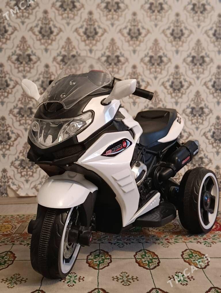 Matod cagalaňky - Bedew - img 1