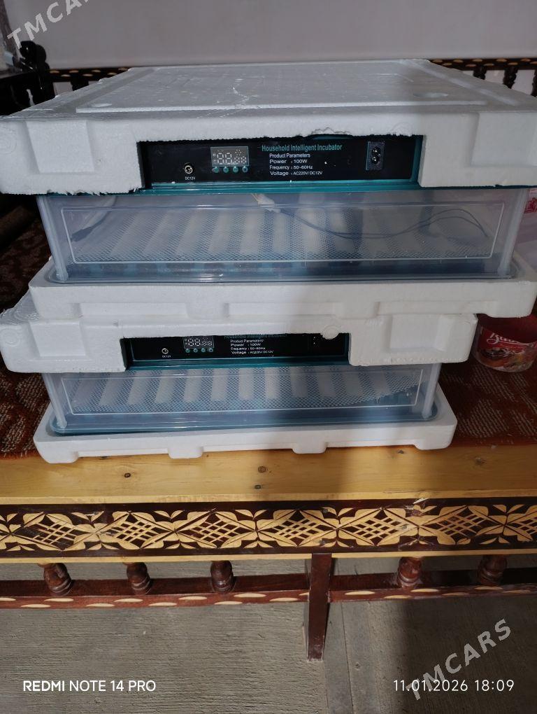 inkubator - Сакар - img 1