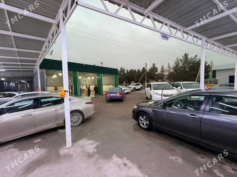 KUWEYT MOYKA ISHGAR GEREK - Mary - img 1