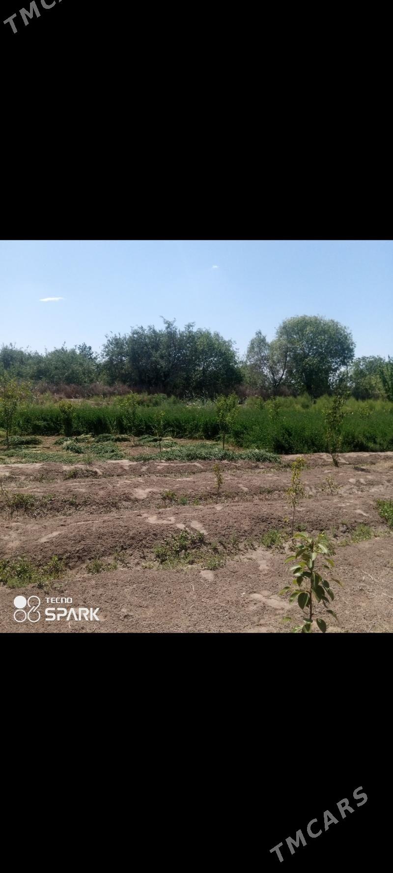 Жай - Гурбансолтан Едже - img 1