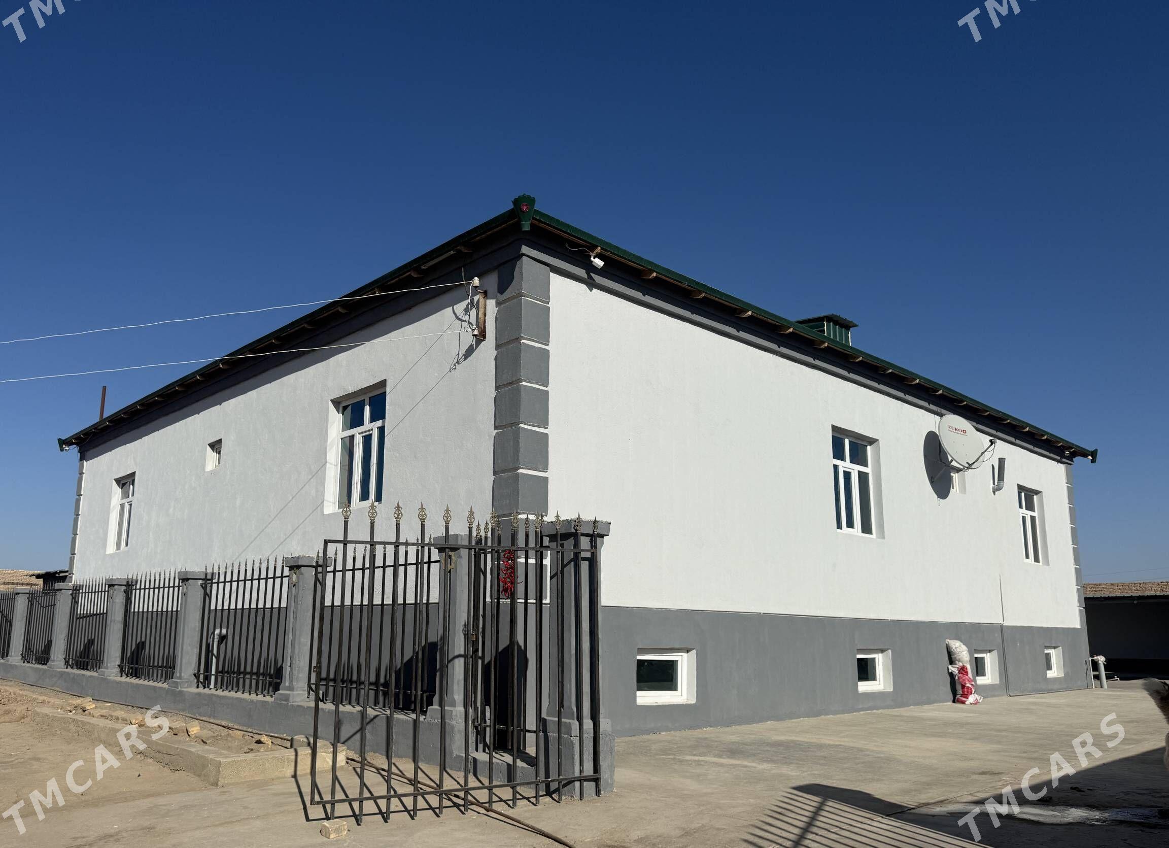 jay satylyar - Daşoguz - img 1