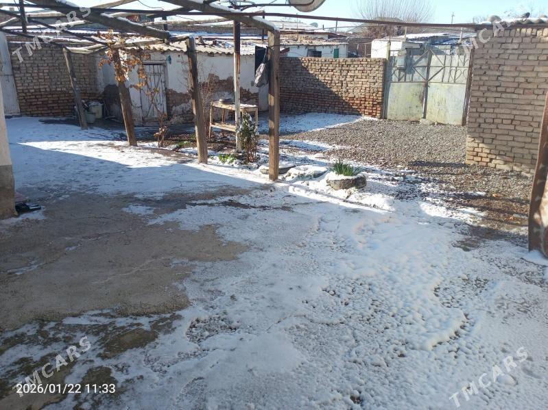 Kaka saher - Kaka - img 1