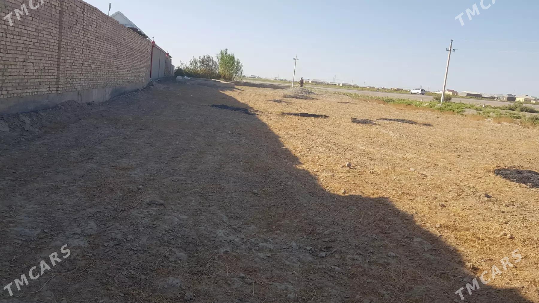 Mellekyer - Байрамали - img 1