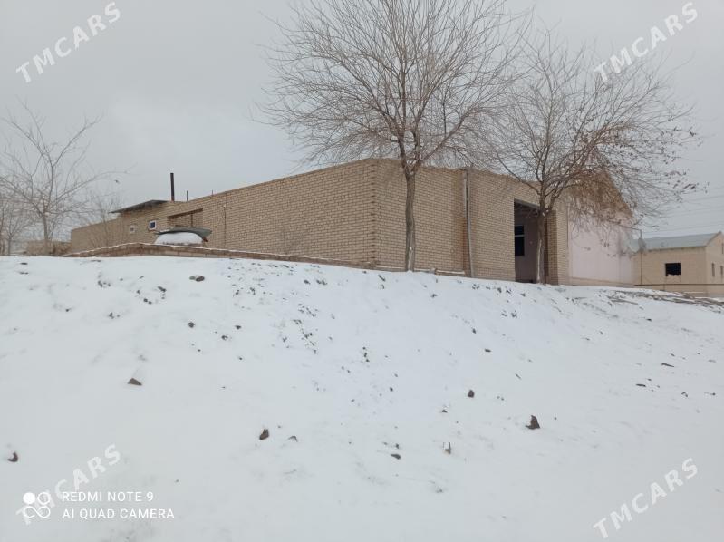 jay - Halaç - img 1