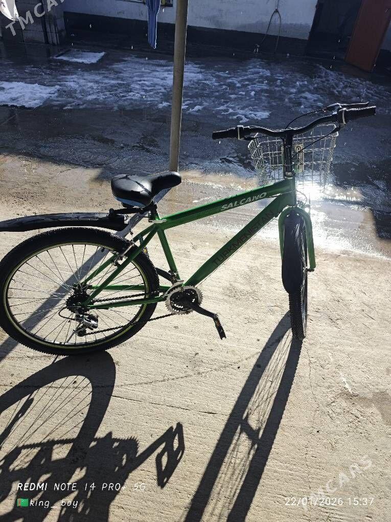 turkmenistan tigir - Änew - img 1