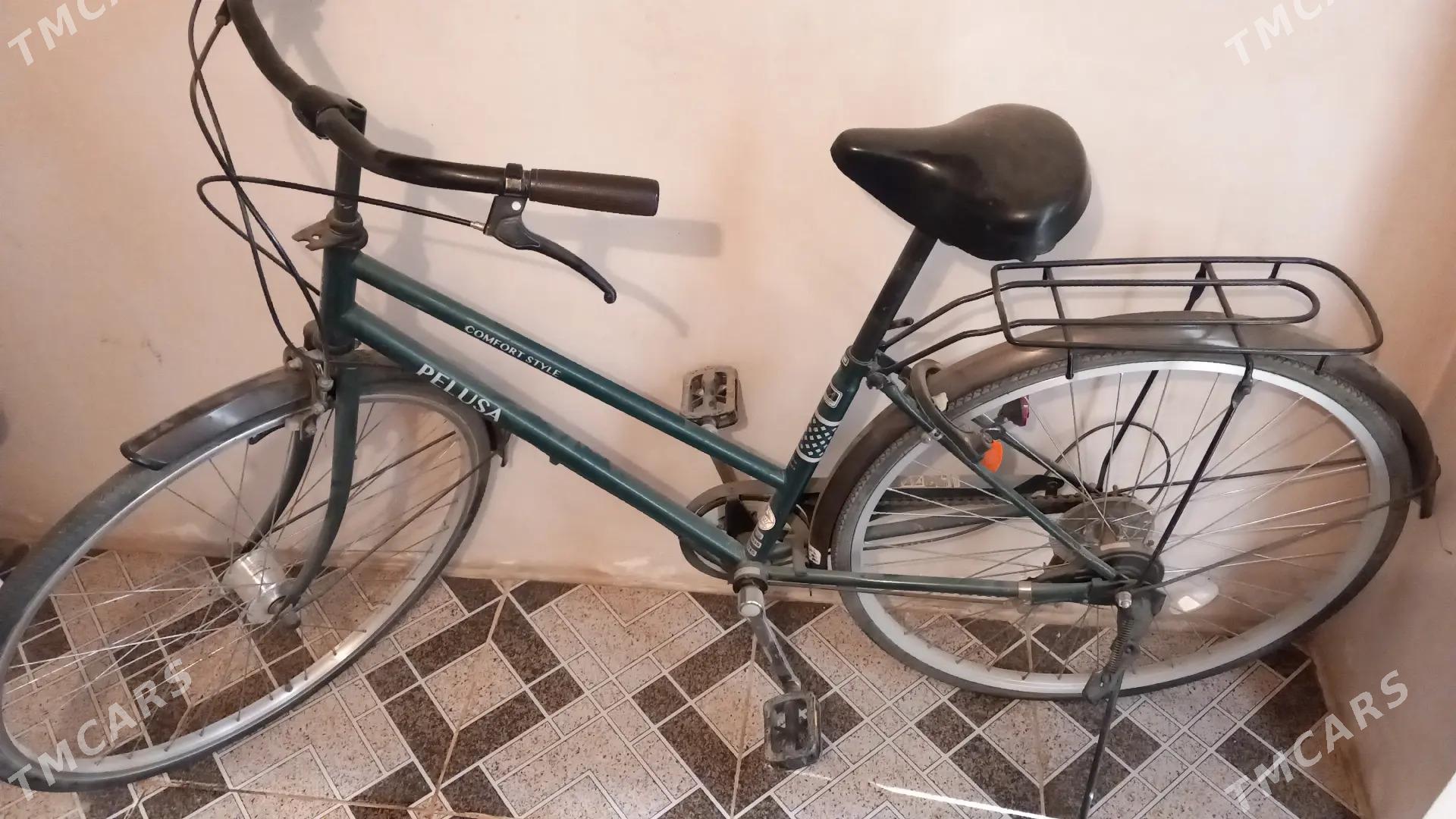 Welsapet 27-lik - Мары - img 1