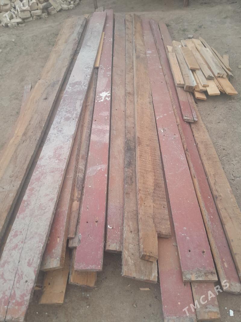 kone agaç alyas - Murgap - img 1