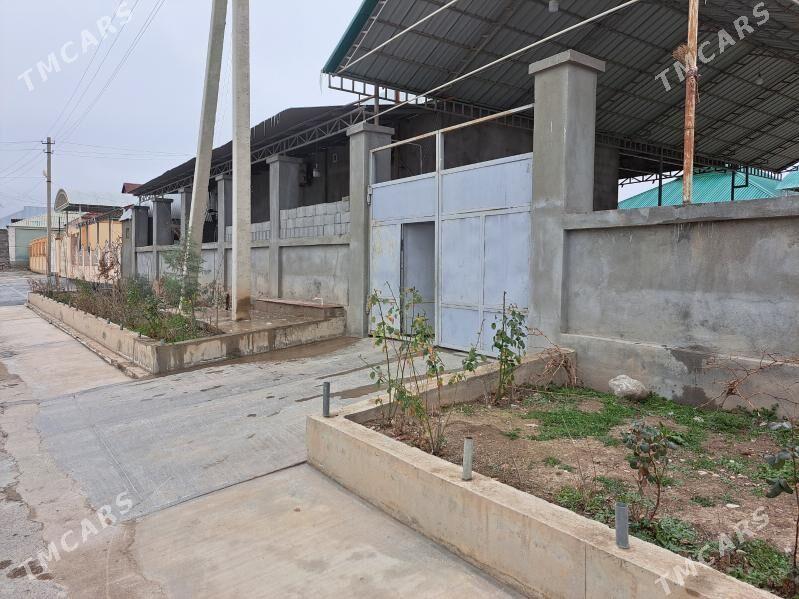 Bagyr Daşgala - Багир - img 1