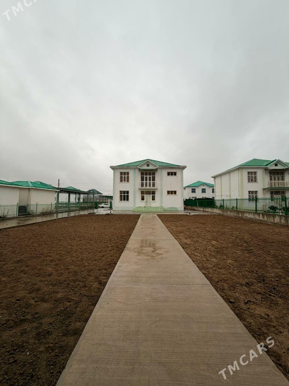 Anew Kotej АНАУ МАХТУМКУЛИ - Анев - img 1