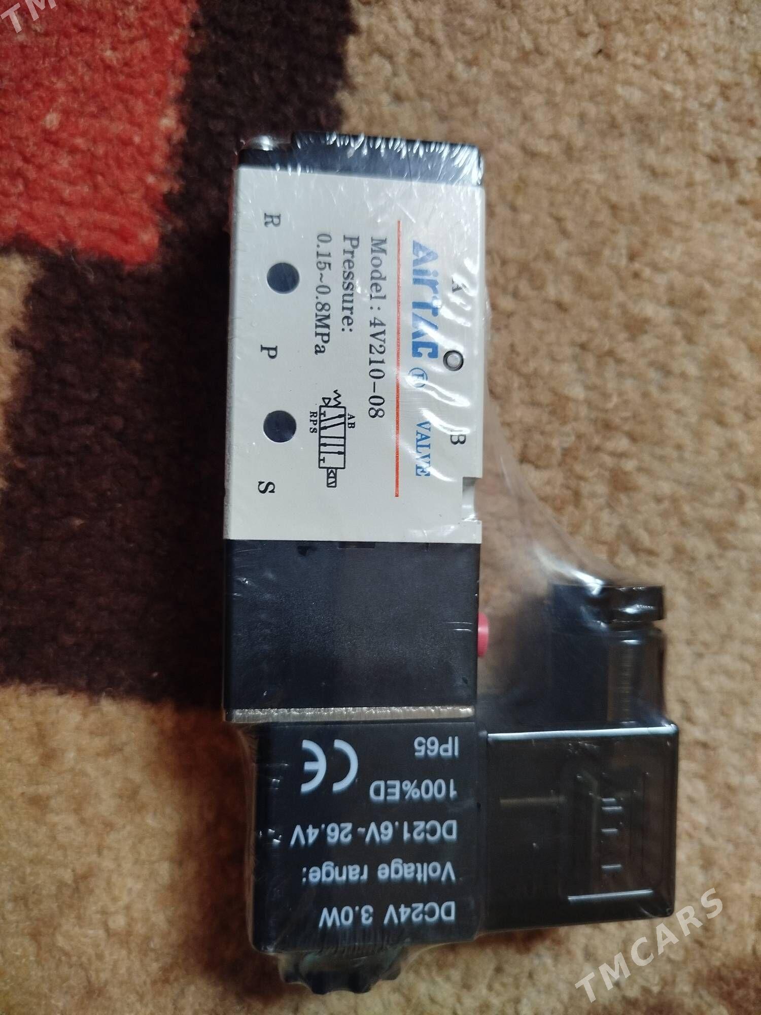 Biton sentiralny Datçik - Bedew - img 1