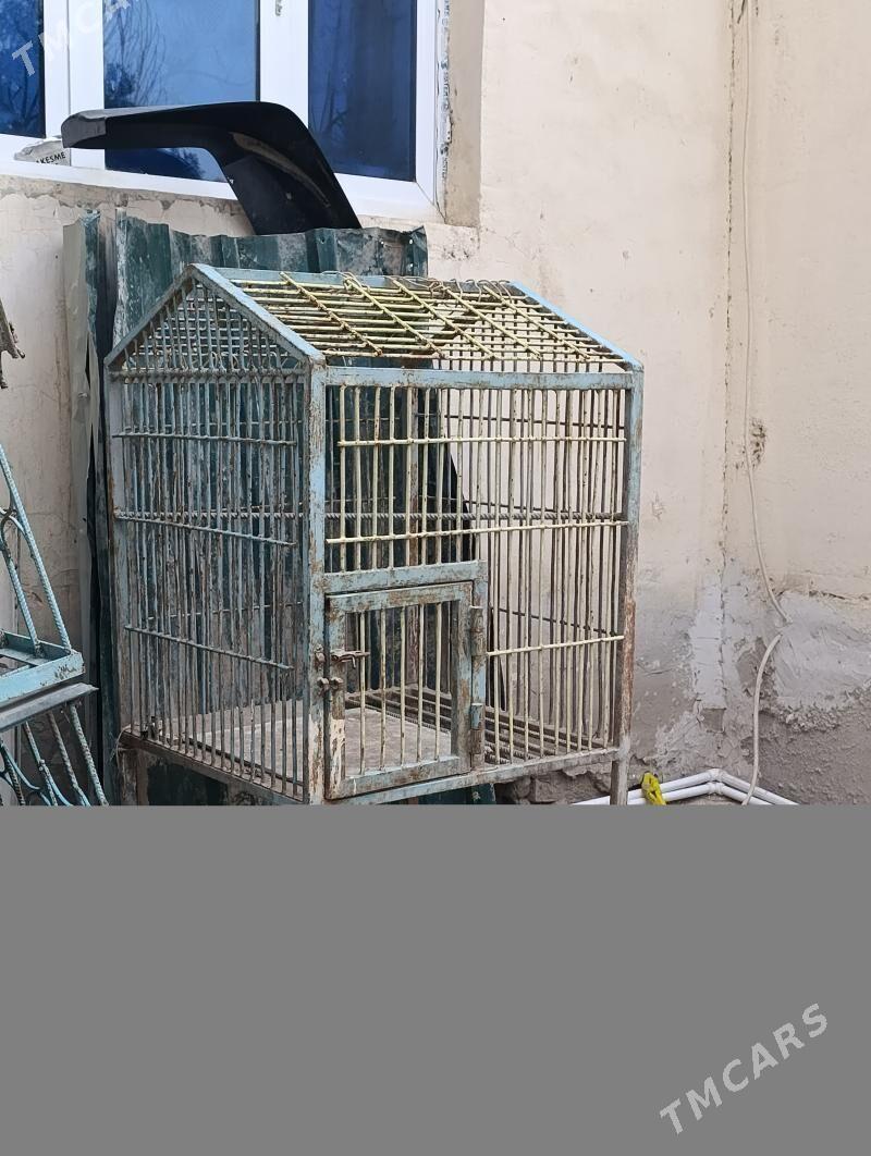 ketek - 10 mkr - img 1