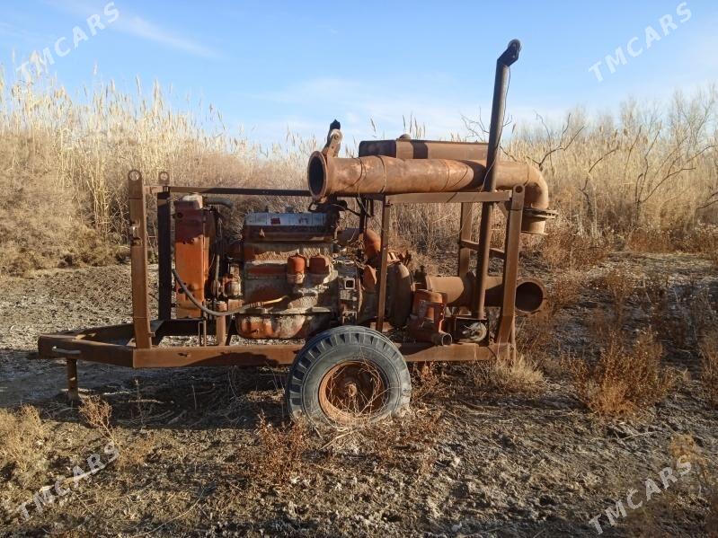 Gazagystan nasoz - Boldumsaz - img 1