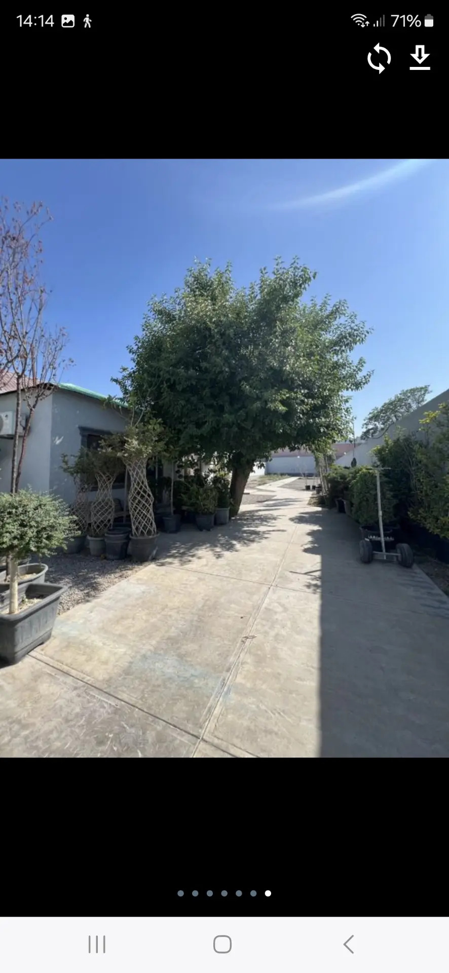 Bagyr Mirewe,8Sotok - Ашхабад - img 1