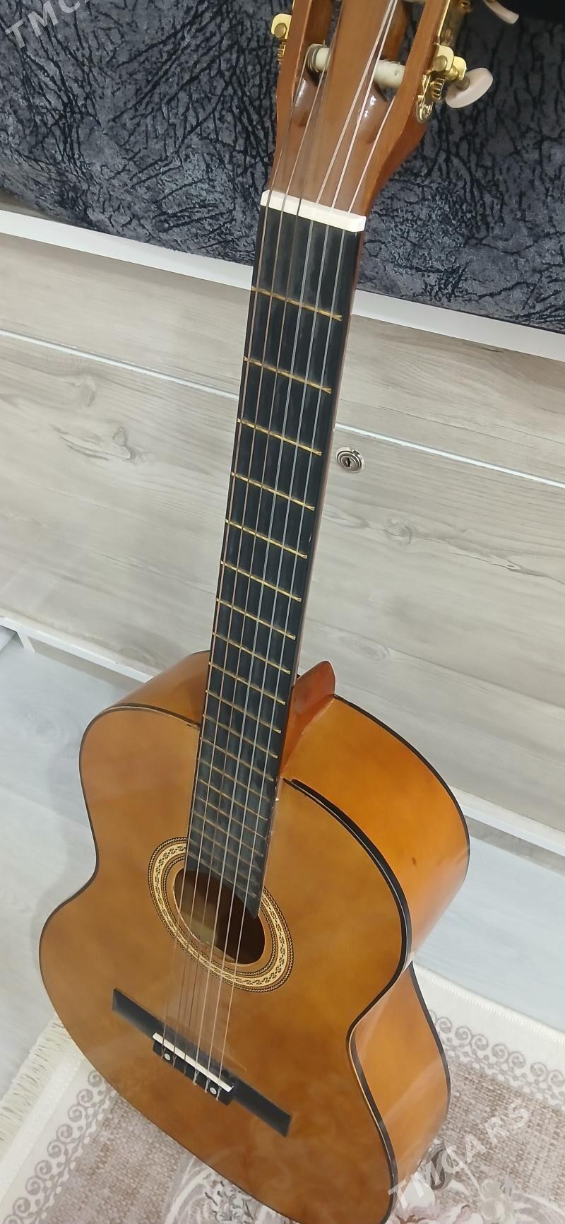 Gitara - Türkmenabat - img 1