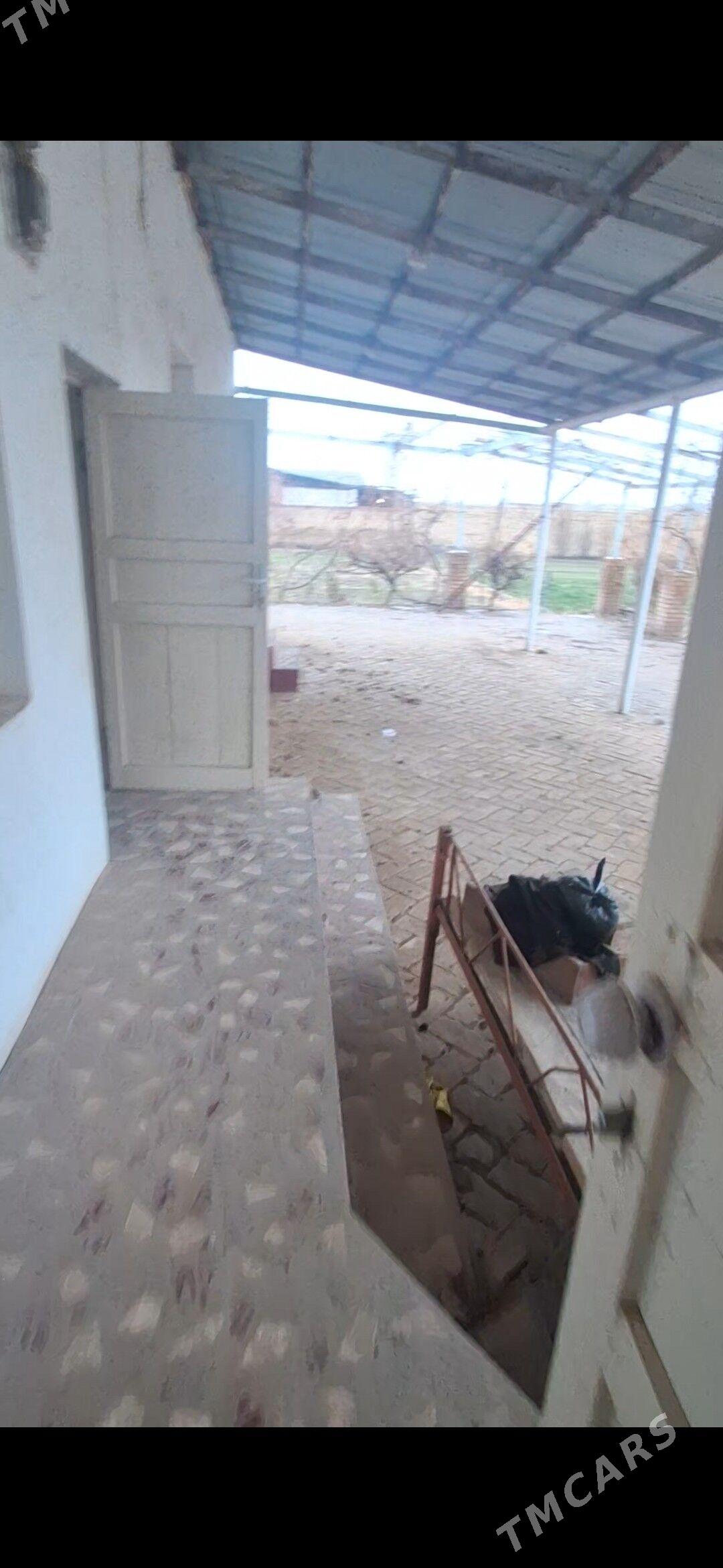 Satlyk planowoý jaý - Керки - img 1