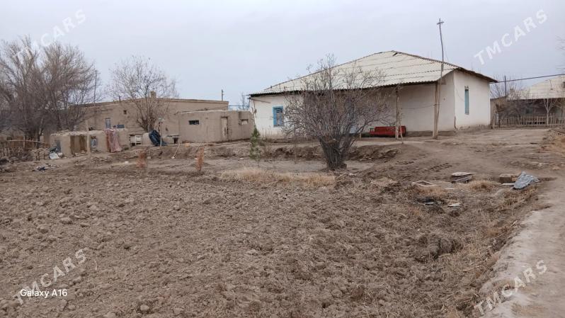 Yasayys jay - Gubadag - img 1