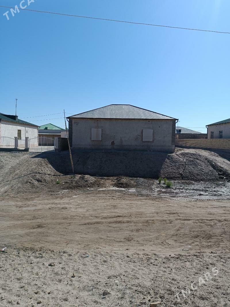 Gulistan - Daşoguz - img 1