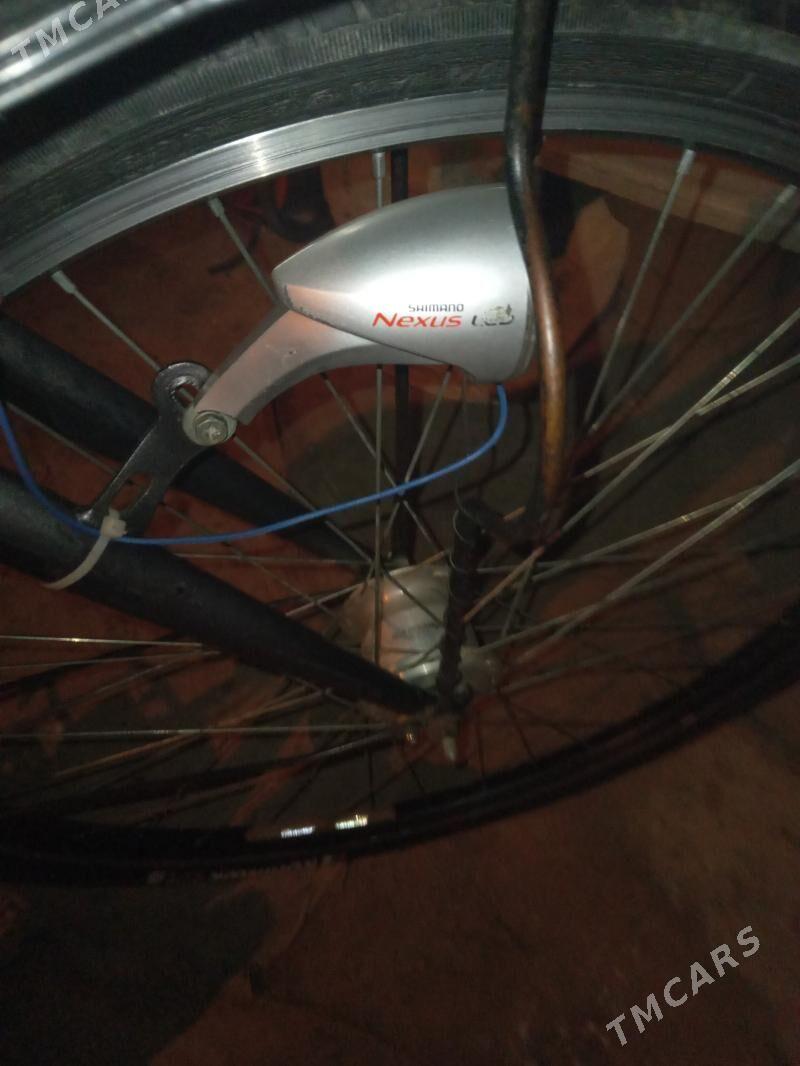 dinam far - Гурбансолтан Едже - img 1