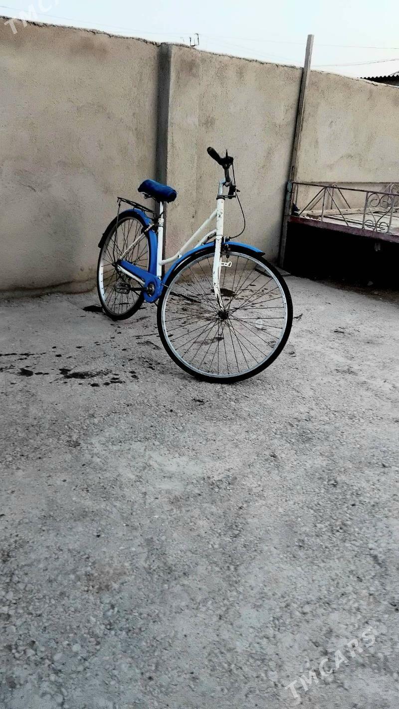 Tiger 27lik - Теджен - img 1