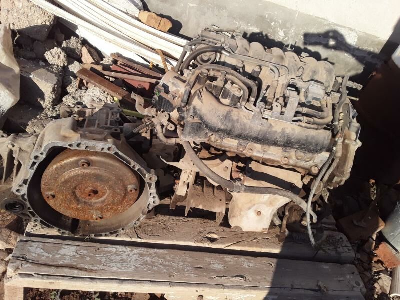 Максима Матор 2.5 2 500 TMT - Türkmenabat - img 1