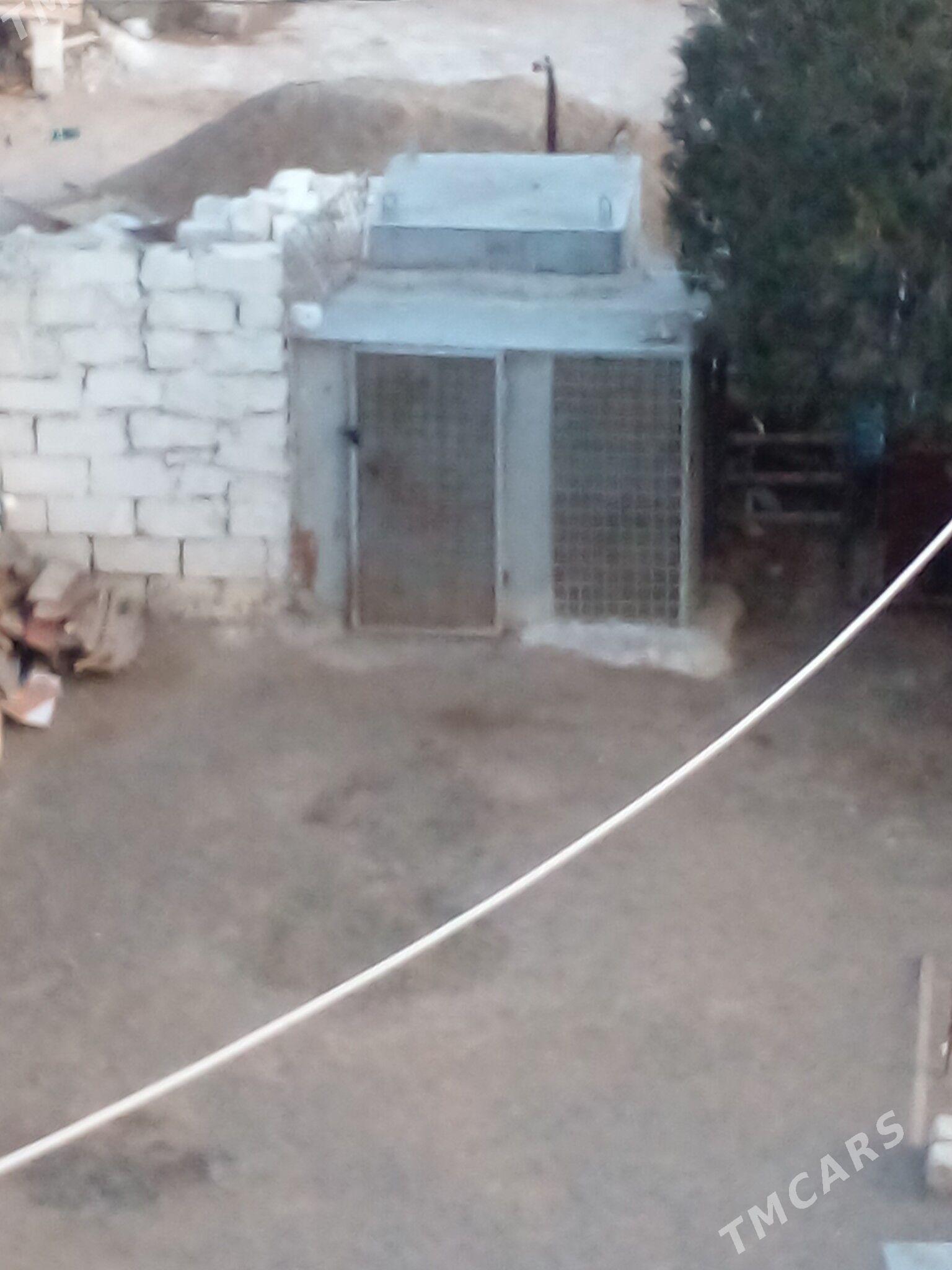 будка для голубей - Туркменбаши - img 1