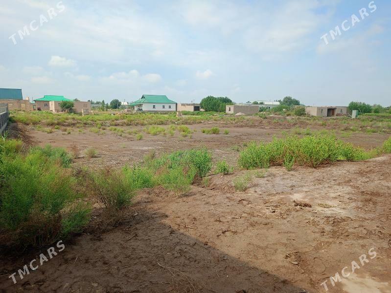 Satlyk jay koneurgenc - Кёнеургенч - img 1