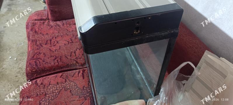 Аквариум - Туркменабат - img 1