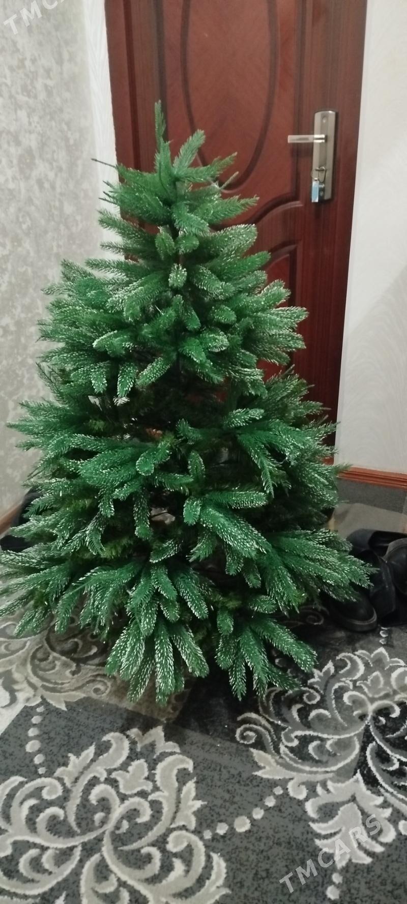 yolka - Ашхабад - img 1