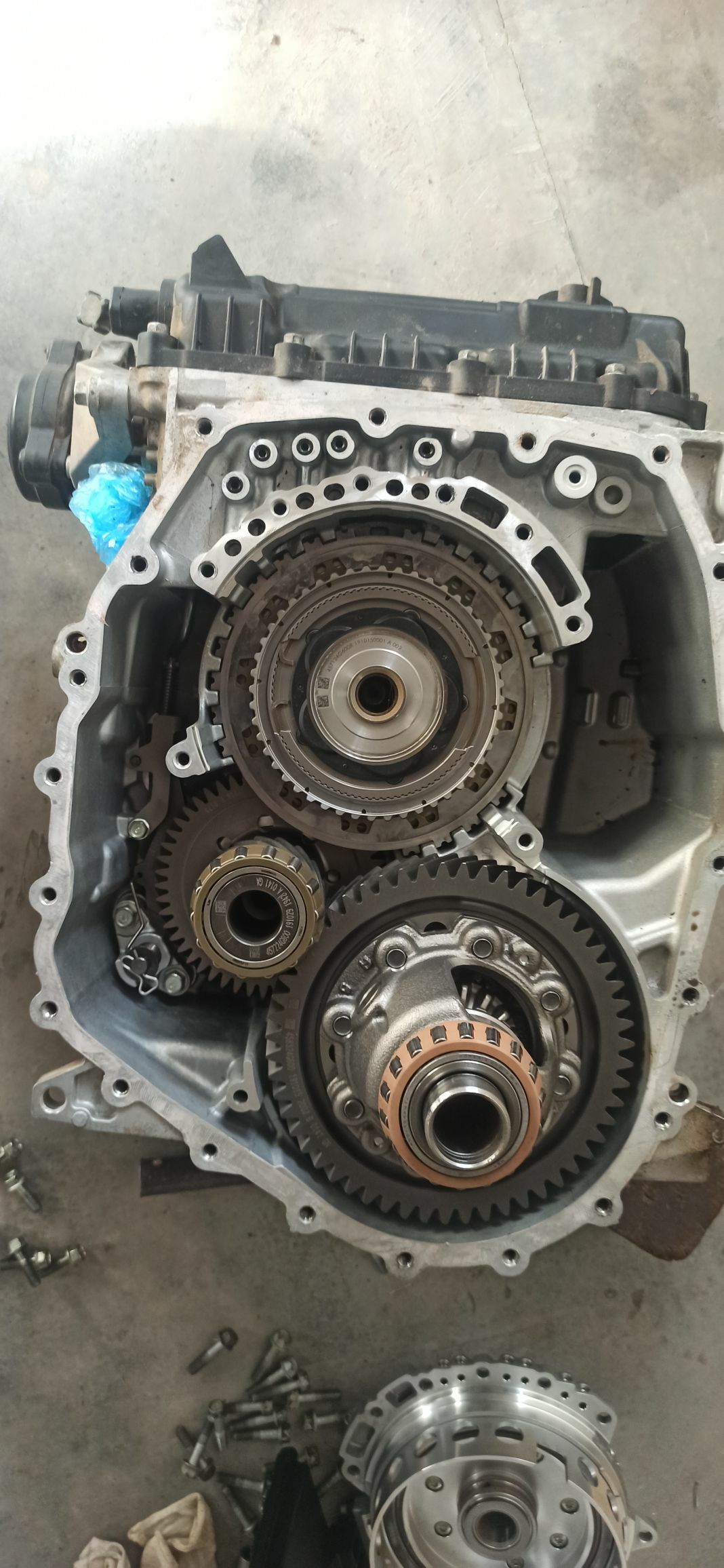 hunday karopka 10 TMT - Sakarçäge - img 1