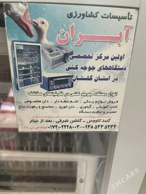 inkbator - Сейди - img 1