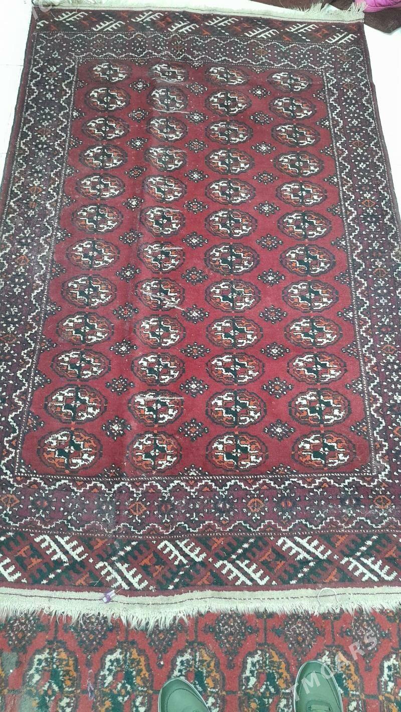 el haly - Parahat 6 - img 1