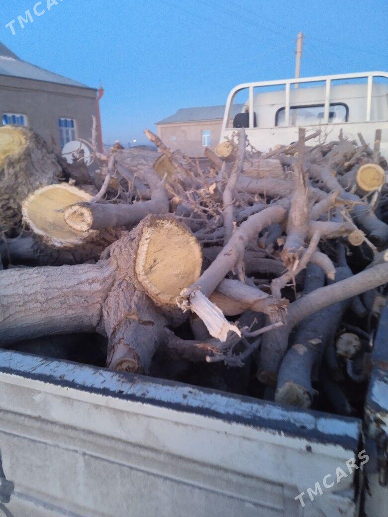 Satlyk Odun - Мургап - img 1