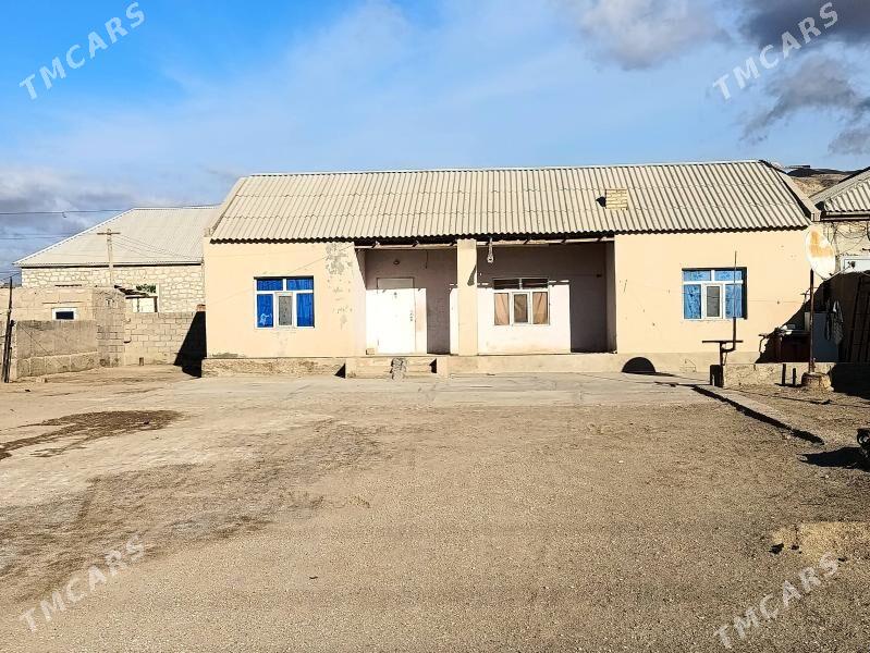 satlyk jay - Джебел - img 1