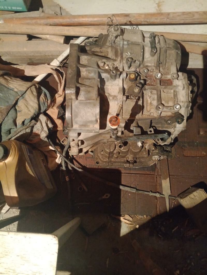 Дуты Кемри каробка 1 100 TMT - Туркменабат - img 1