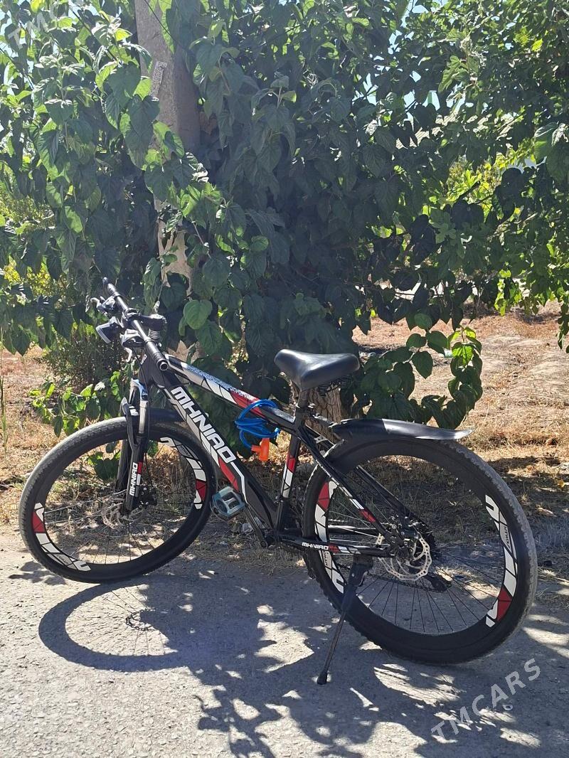 tigir - Анев - img 1