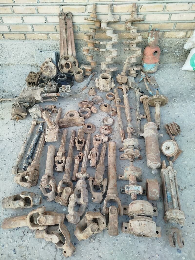 Mtz T-28 yashlary 100 TMT - Дашогуз - img 1