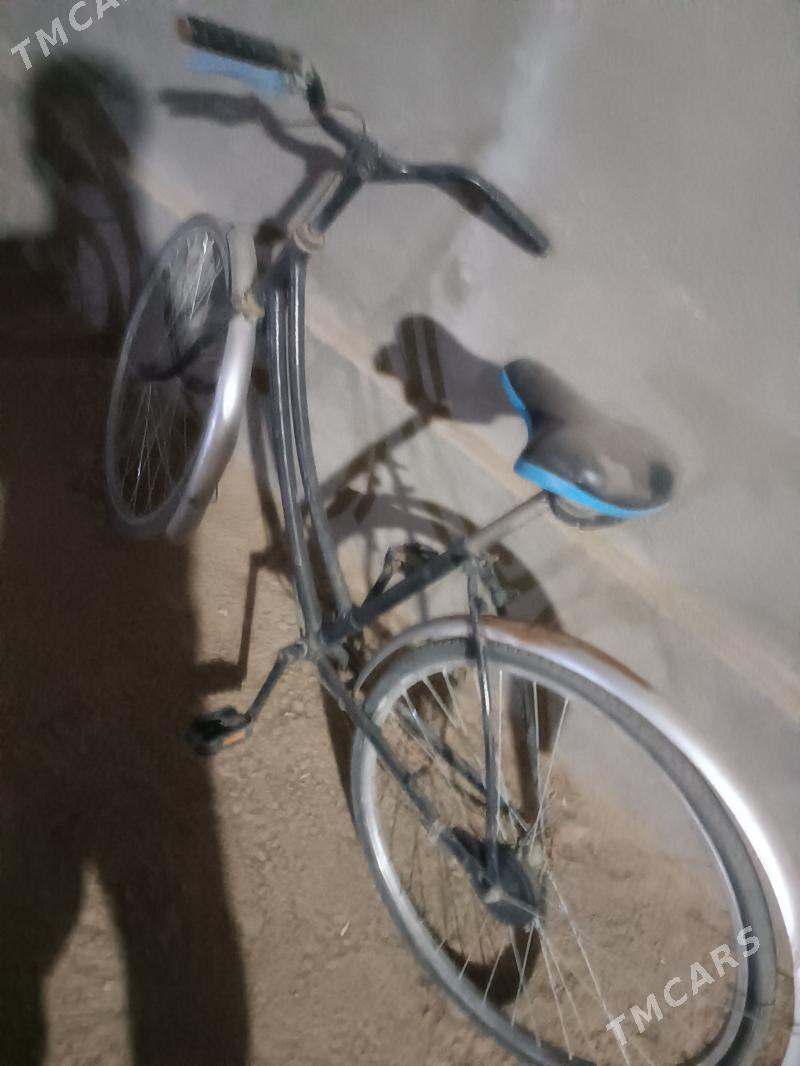 Welsoped . tigir - Мургап - img 1