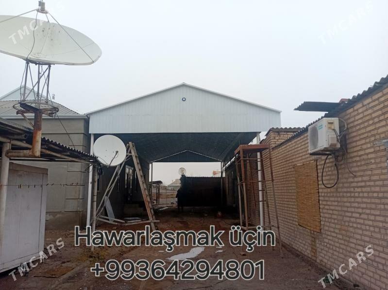 çypyr nawes - Mary - img 1