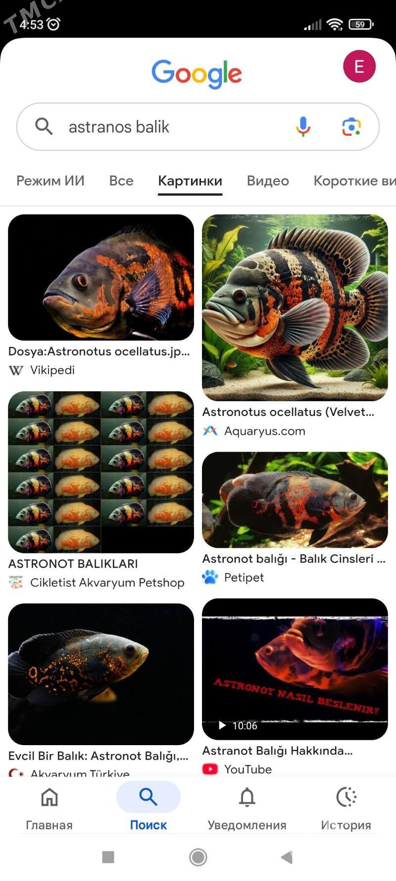 balik gerek hisnik - Çärjew - img 1